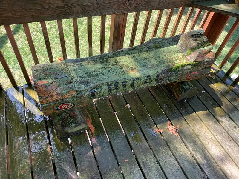 Before: deck boards and a carved log bench under a film of green algae and moss
