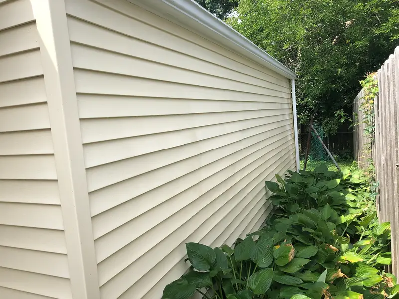 Vinyl siding after a soft wash — algae gone, clean lap lines from gutter to foundation